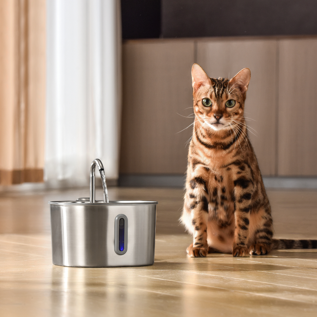 Stainless Steel Cat Water Fountain 2.2L