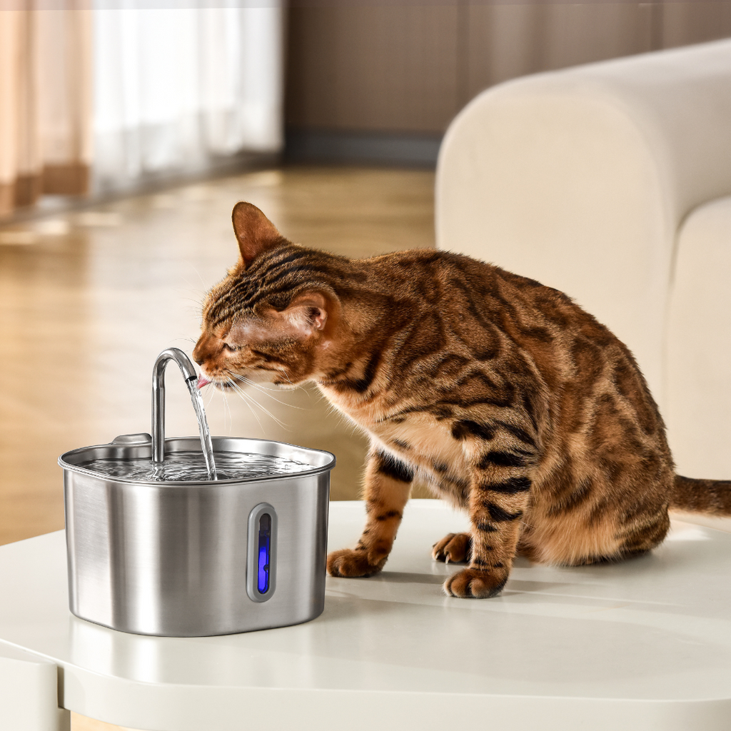 Stainless Steel Cat Water Fountain 2.2L