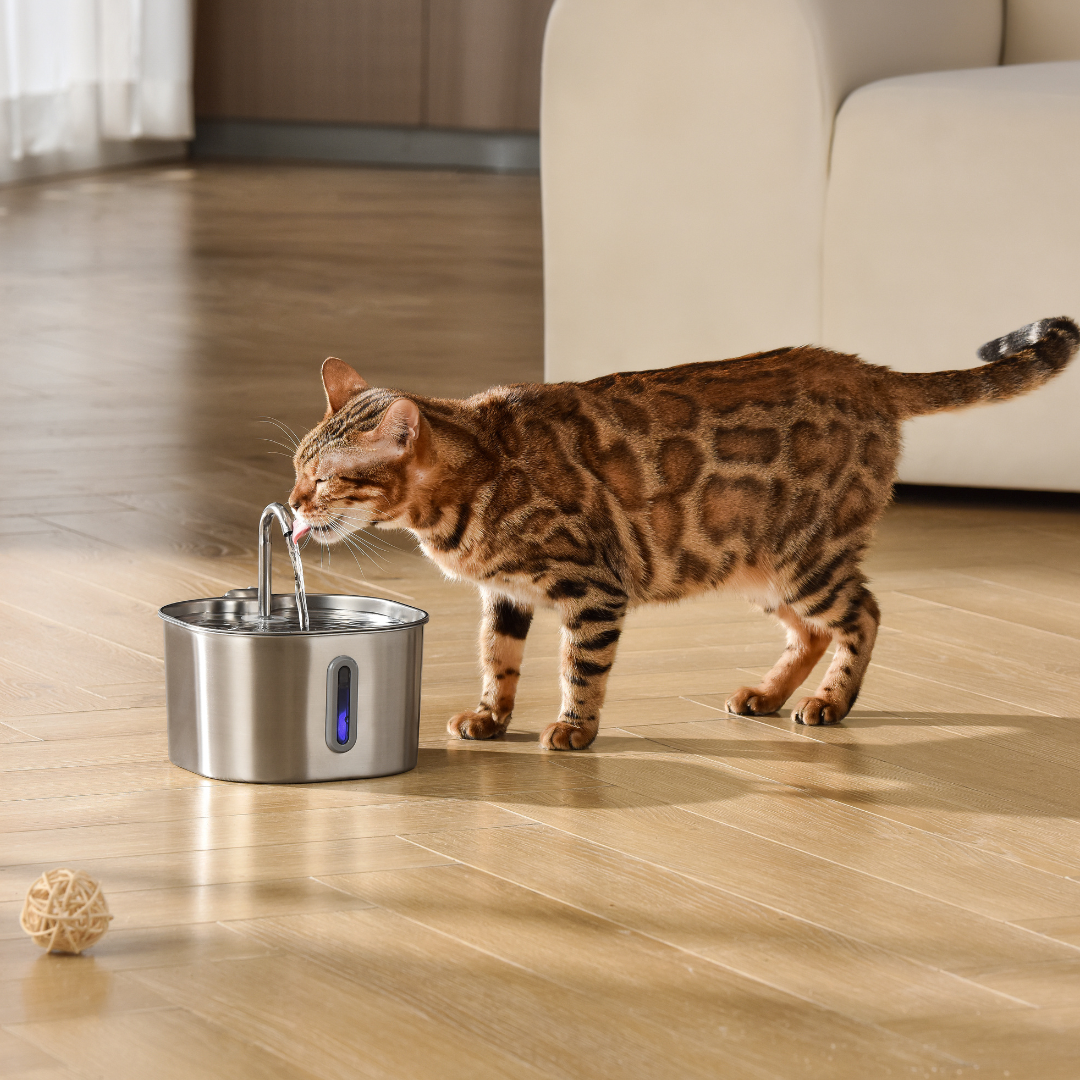 Stainless Steel Cat Water Fountain 2.2L