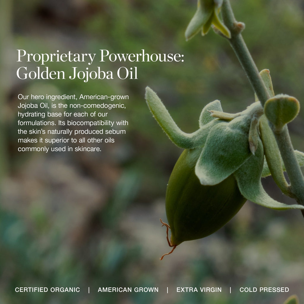 Your New Glow-To: The Elevated Glow Collection